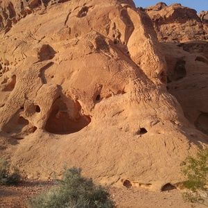 Meet your Posher, Layne